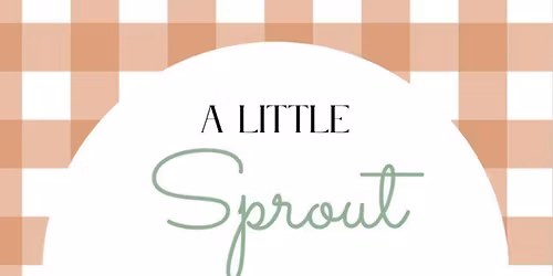 A Little Sprout is on the Way, Please Help us Celebrate!