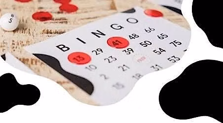 Cow Bingo