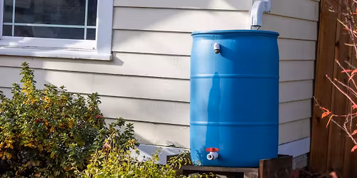 Rain Barrel Workshop