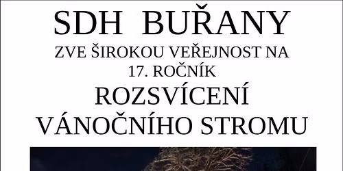 Rozsvícení vánočního stromu