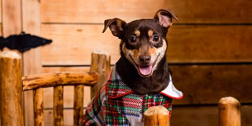 Yappy Hour: Pawjama & Prevention Party