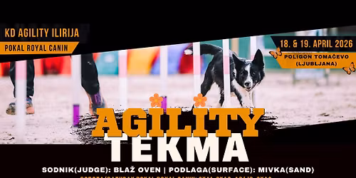 Agility tekma KD Agility Ilirija (Pokal Royal Canin)