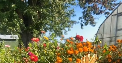 Plein-Air Painting in the Garden 