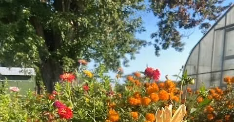 Plein-Air Painting in the Garden 