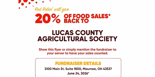 Red Robin Fundraiser