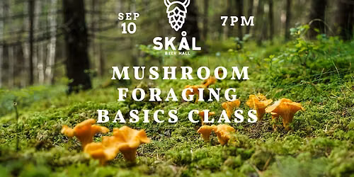 Mushroom Foraging Class - Learn the Basics!