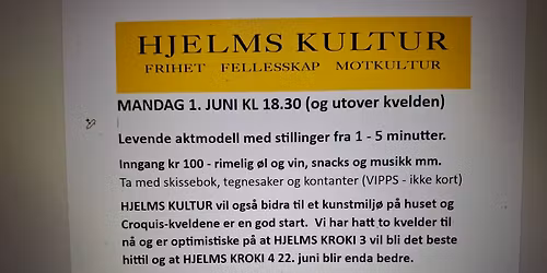 HJELMS KROKI 3