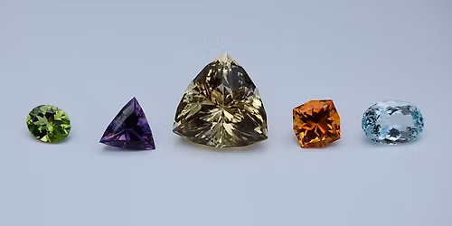 November Meeting and Elections - Presentation Topic TBD 