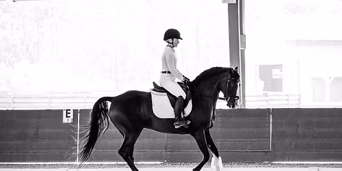 CEDA Year-End Schooling Show - "S" Judge