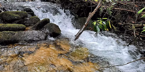 Pennsylvania 52 Hike Challenge Shingletown Gap Lower Trail
