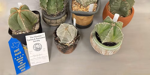 HCSS Fall Show and Sale