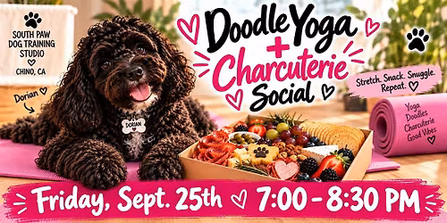 Doodle yoga + charcuterie social