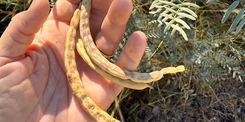 Nature's Gifts