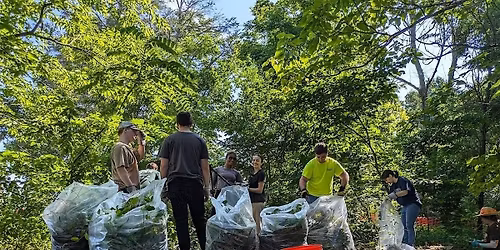 Volunteer Workday at Graham Nature Preserve