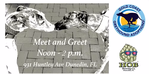 Greyhound Meet and Greet at HOB Brewing Company