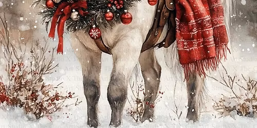 2025 Open House and Holiday Horse Farm Experience