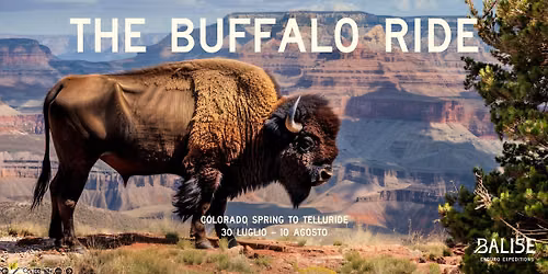 COLORADO - THE BUFFALO RUN + FLY FISHING
