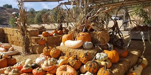 Critter Cozies at Gilchrist Farm!