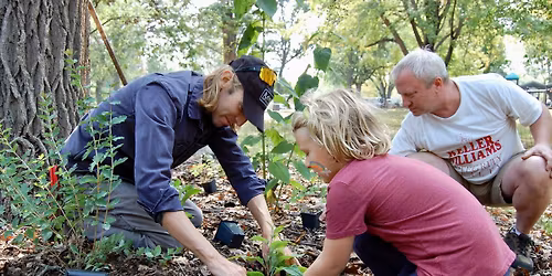 Seed Cleaning with MnSeed!