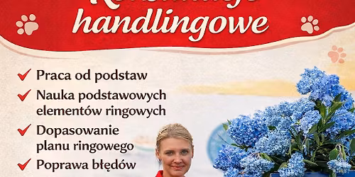 Grupowe konsultacje handlingowe dla ZKwP oddzia\u0142 Zabrze
