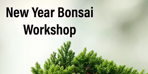 New years Bonsai Workshop