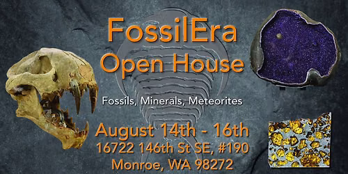 FossilEra Open House 2026 - Fossils, Crystals & Meteorites!
