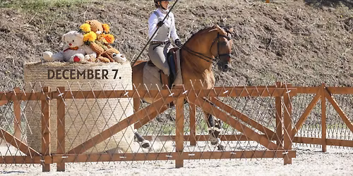 Working Equitation Edz\u00e9s - Dallos Eszterrel 