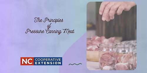Homesteading Basics: Pressure Canning Meat