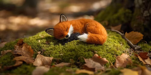 Woodland Creatures \ud83c\udf33\ud83d\udc3f\ufe0f Play-Based Spanish Class (2-6 years)