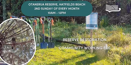 \u014ctanerua Reserve, Hatfields Beach - Volunteer Restoration Group