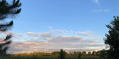 Annual Cinnamon Roll 5K