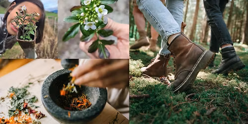  16. Mai 2026 | 14:00  Wildkr\u00e4uter entdecken & genie\u00dfen  Bei dieser Kr\u00e4uterwanderung tauchen wir gem