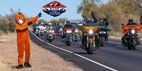 11th Ride for the Salt River Wild Horses