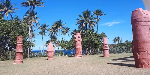 Reza Edge of Illusion - Palm Coast