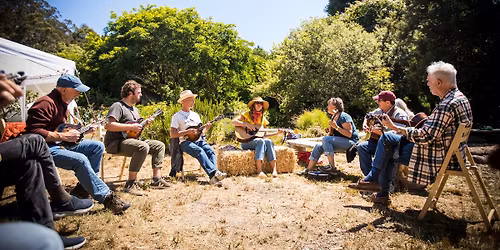 6th Annual West Marin Fiddle Camp Summer 2026