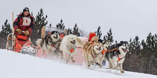 Wausau Winter Fest Weight Pull and Meet & Greet