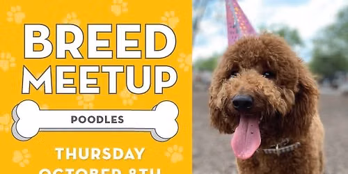 Breed Meetup: Poodles