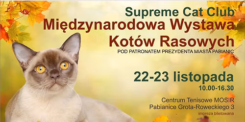 43 & 44 Mi\u0119dzynarodowa Wystawa Kot\u00f3w Rasowych w Pabianicach