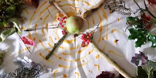 Winter Solstice in the Woods