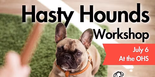 Hasty Hounds Group Dog Training Workshop