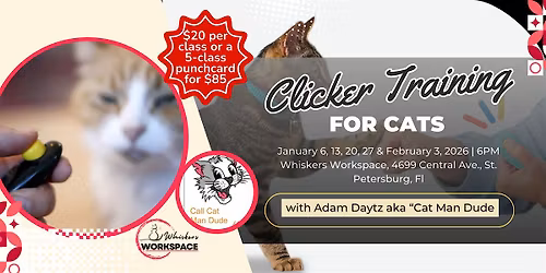 Clicker Training for Cats with Cat Man Dude \u2013 Adam Daytz