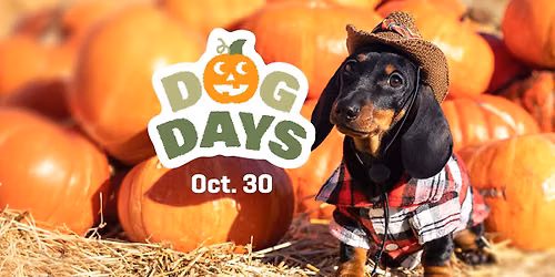 Dog Days: Costume Edition