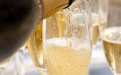 33rd Annual Champagne Fest
