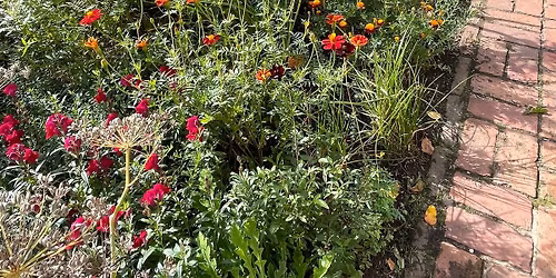 Secret Garden Visit 