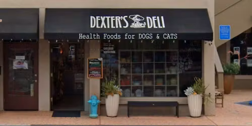 Del Mar - Dog dental cleaning