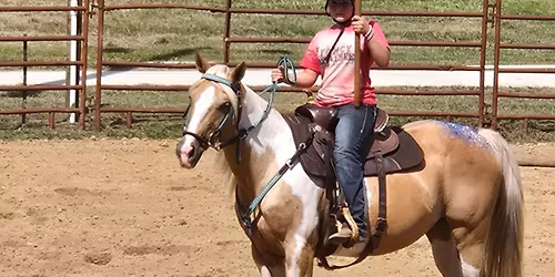 Horse Fun Show