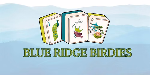 Mahjong with the Blue Ridge Birdies: Basics 101 - Belvedere Station