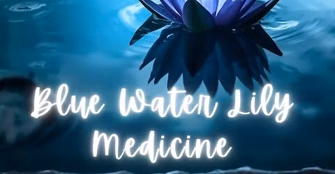 Spiritual Corner Community - Elyse Speaks on Blue Water Lily Medicine