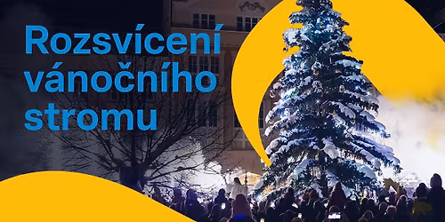 ROZSV\u00cdCEN\u00cd V\u00c1NO\u010cN\u00cdHO STROMU 2025