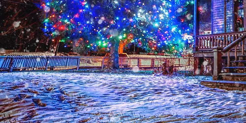 Tree Lighting at Historic Richmond Town